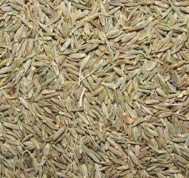 Manufacturers Exporters and Wholesale Suppliers of Cumin Seeds Ahmedabad Gujarat